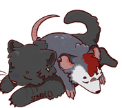 Sticker Sticker